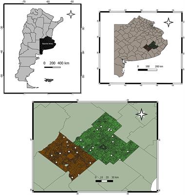 Epidemiology of Leptospira spp. infection in a beef cattle area of Argentina